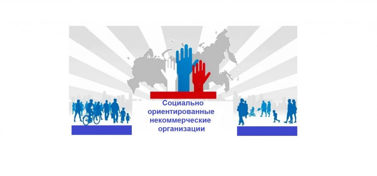 В России планируют разработать Концепцию развития социально ориентированных некоммерческих организаций (СО НКО) до 2030 года