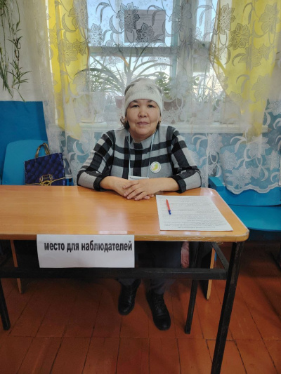 В Хакасии проходят выборы в местные представительные органы власти