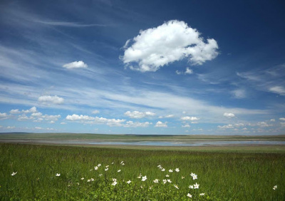 В Хакасии планируется создание природного заказника «Озера Койбальской степи»