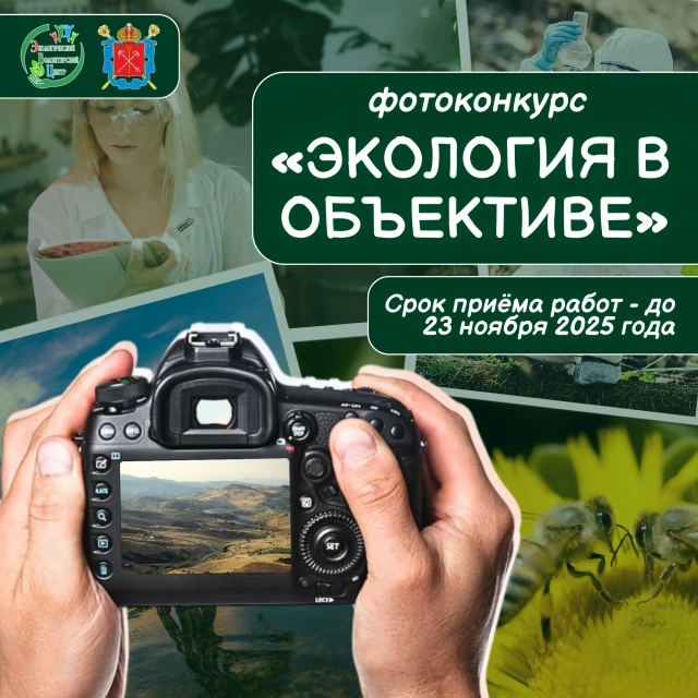 Объявлен открытый конкурс фотографии «Экология в объективе»